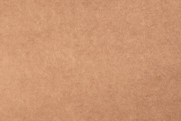 Macro closeup of fine paper pulp skin texture