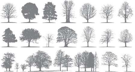 Fototapeta premium Collection of diverse grey tree silhouettes in various shapes and sizes on a white background nature