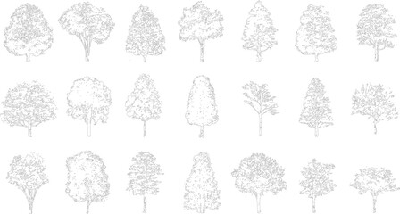 Collection of eighteen detailed black and white line of various deciduous and coniferous trees outline