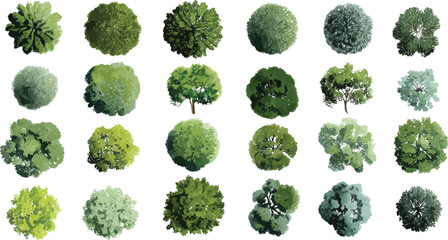 Collection of twenty four diverse green trees viewed from directly above in a down perspective with varied textures and shapes © Pixel Park