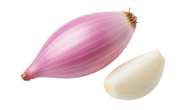 Isolated shallot bulbs, whole and peeled, raw and uncooked, an ingredient for flavoring
