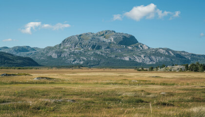 Obraz premium Majestic green mountain rises above golden grass fields under a clear blue sky