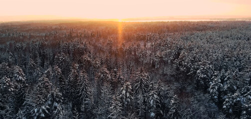 sunset over the field