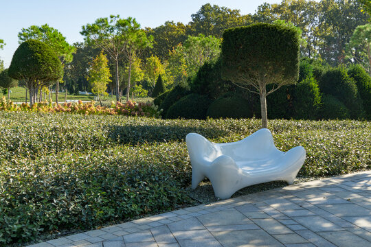 Modern white bench placed on paved pathway, surrounded by neatly trimmed silverberry against ornamental Yew Taxus baccata (English yew) in landscape city park Krasnodar or 'Galitsky park'