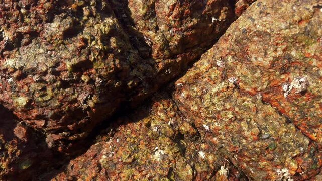 Close-up of rocks on ocean shore covered with barnacles and illuminated by sun's rays during low tide. Marine geological formation with relief rock with small nests for installing crayfish