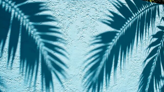 Palm tree leaf shadows creating beautiful patterns on a textured blue wall in bright sunlight