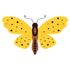 yellow butterfly in flat style