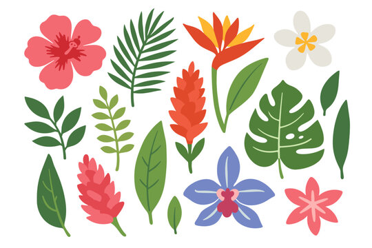 Tropical botanical clipart with hibiscus, bird-of-paradise, orchid, ginger flowers, monstera and palm leaves. Summer vibe for beach branding, aloha prints, textiles and travel design.