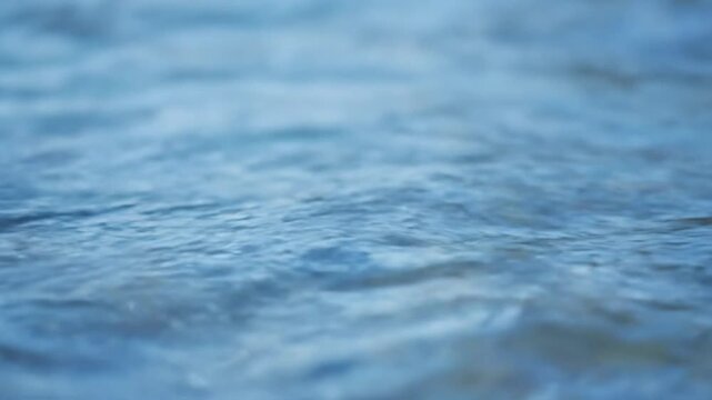 Ripples on the serene water surface viewed from a close-up perspective on a calm day