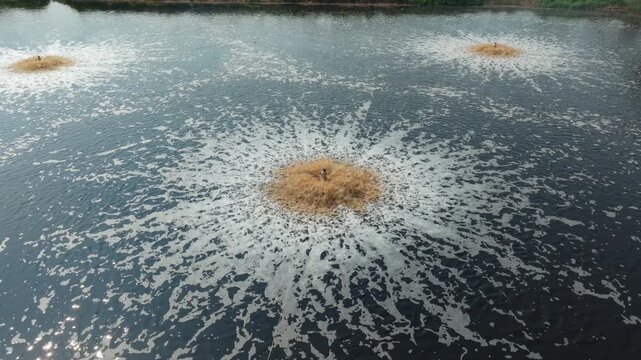 Surface aerator machine splashing water to increase oxygen in a wastewater treatment pond of an industrial farm.