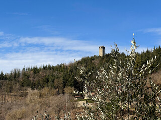 panorama su torre di Roccaverano
