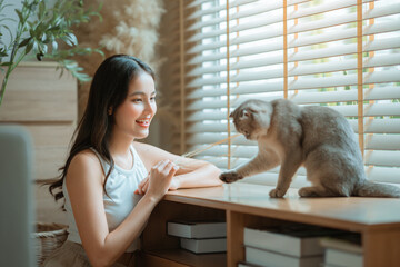 Happy Asian woman playing with cute Scottish Fold cat at home, young lady bonding with her pet in cozy living room, concept of pet lover, animal companionship, cheerful female owner enjoying time with