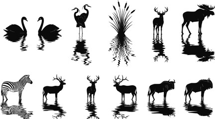 Wildlife animal silhouettes with water reflection including swans heron deer moose zebra and wildebeest isolated black vector illustration set © World_Of_Vector