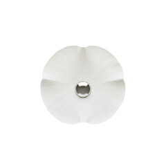 Elegant White Flower with Metallic Center Detail