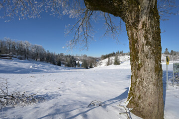 Schwalbenhauptwiese am Rennsteig im Winter