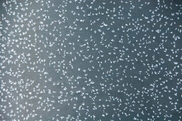 specks of frost soft texture dots