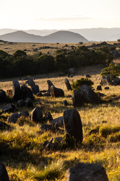 Large dolerite boulders scattered across the golden grasslands of Malolotja Nature Reserve in Eswatini, in the late afternoon light.