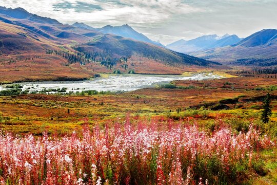 Along the Dempster Highway, Yukon & NWT