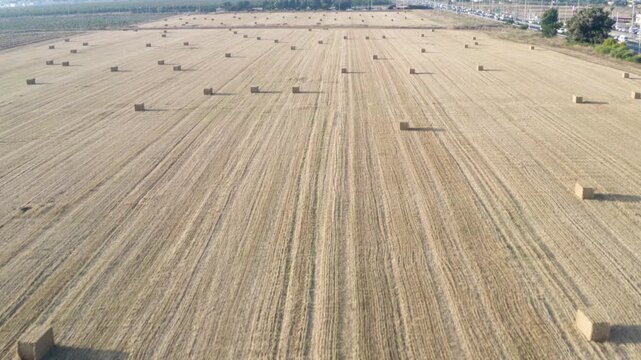 Aerial view of square hay bales in a harvested field, Shavei Tzion, Israel.