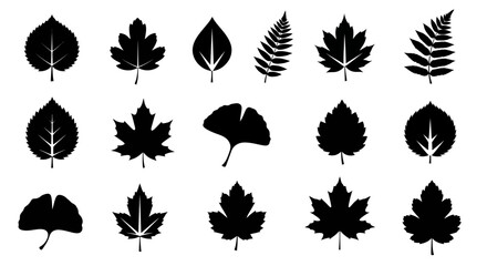 Obraz premium Collection of Various Leaf Silhouettes.