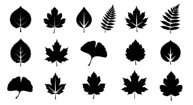 Collection of Various Leaf Silhouettes.