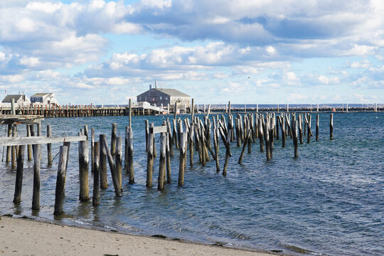Wooden pilings stretch into Provincetown Harbor in Cape Cod, Massachusetts, as autumn foliage and a white picket fence frame a classic New England waterfront scene under a partly cloudy sky.