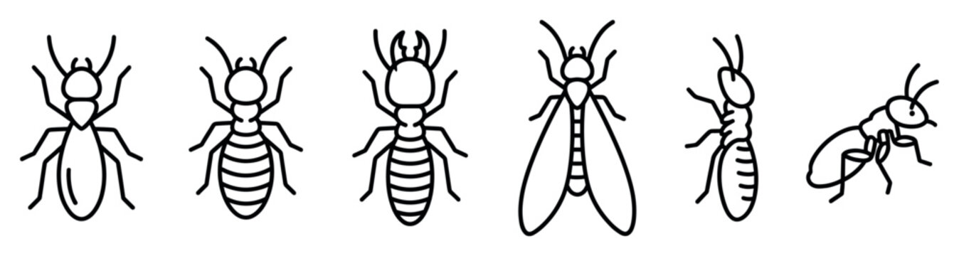 Set of six black line art termite icons showing different castes like worker, soldier, and winged alate from top and side views in a minimalist, clean vector illustration style