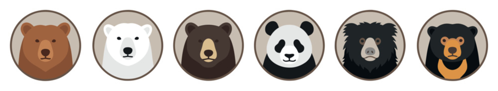 Collection of six different bear species icons showing portraits of a brown, polar, black, panda, sloth, and sun bear in a flat vector illustration style