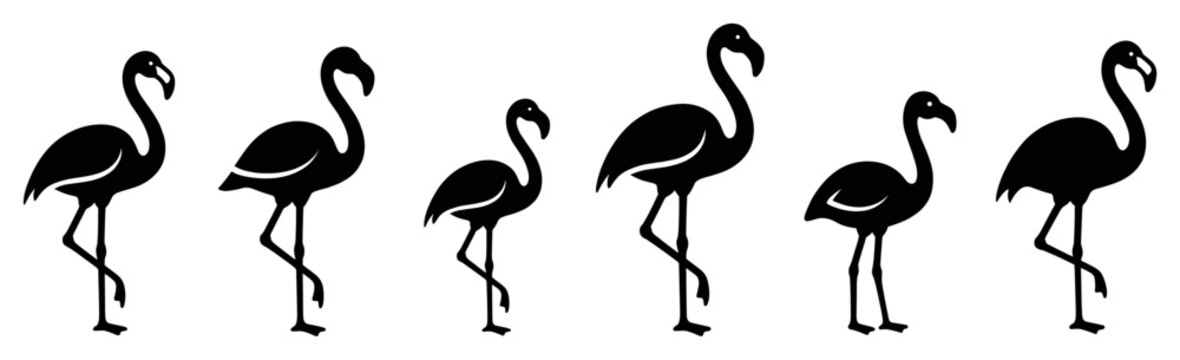 Set of six black flamingo silhouettes in various standing poses, presented as a minimalist graphic icon collection for elegant, modern, and tropical design concepts