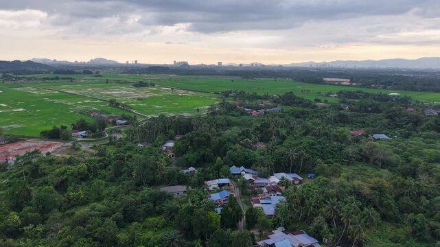 Aerial panorama over Labuh Banting village and rice paddies
