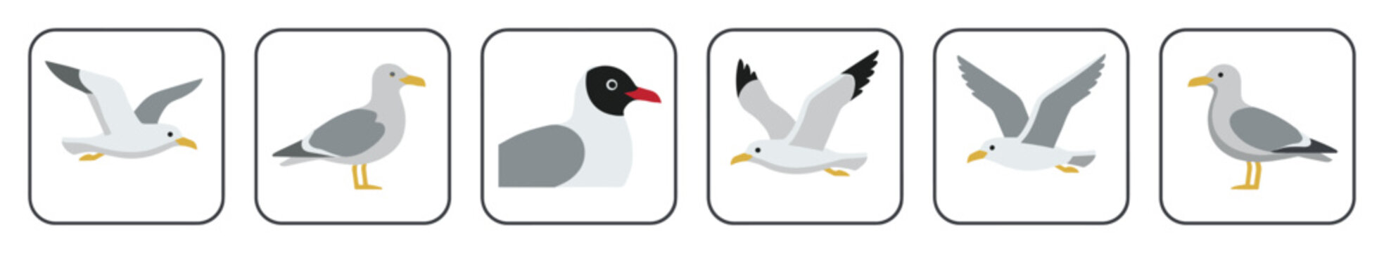 Collection of stylized seagull vector illustrations in various poses, including flying, standing, and a portrait, designed as a set of flat graphic icons