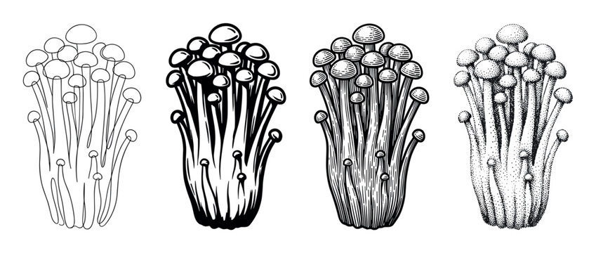 Four black and white Enoki mushroom illustrations showing different artistic techniques including line art, hatching, stippling, and bold ink drawing in a vintage engraved style
