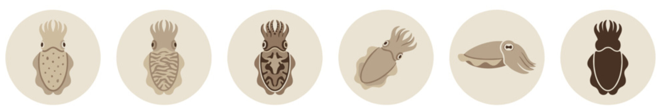 Collection of six cuttlefish illustrations in a minimalist flat style, showcasing various patterns and poses in a muted brown and beige color palette for graphic design