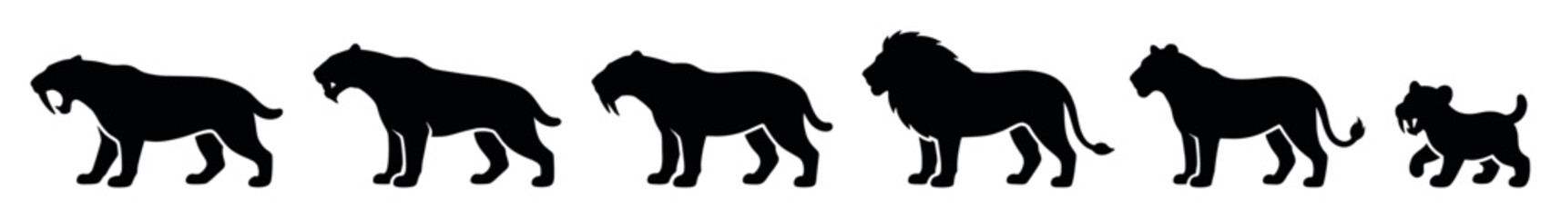 Obraz premium Collection of black feline silhouettes depicting the evolution of big cats from a prehistoric saber-toothed tiger to a modern lion, lioness, and a small cub in a row