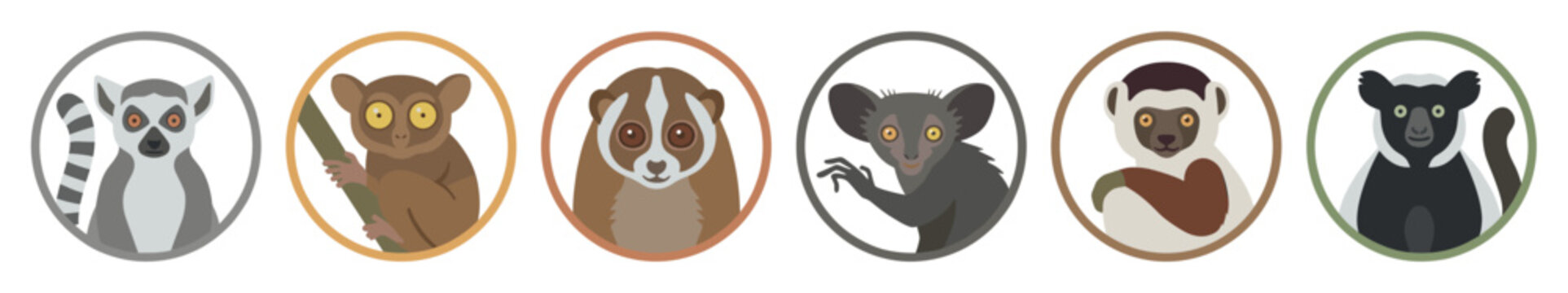 Set of six cute prosimian primate portraits including a lemur, tarsier, loris, and aye-aye, designed as simple round vector icons or character mascots in a flat style