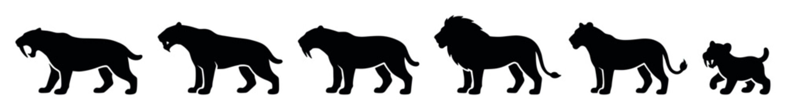 Collection of black feline silhouettes depicting the evolution of big cats from a prehistoric saber-toothed tiger to a modern lion, lioness, and a small cub in a row