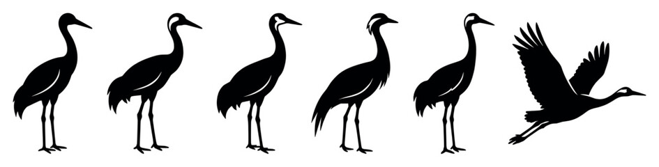 Fototapeta premium Black crane bird silhouettes in various poses including standing and flying, presented as a graceful collection of elegant graphic icons for wildlife themes