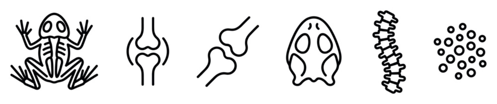 Minimalist anatomical icon set with a frog skeleton, human knee joints, spinal column, skull, and cellular structure drawn in a simple black outline style