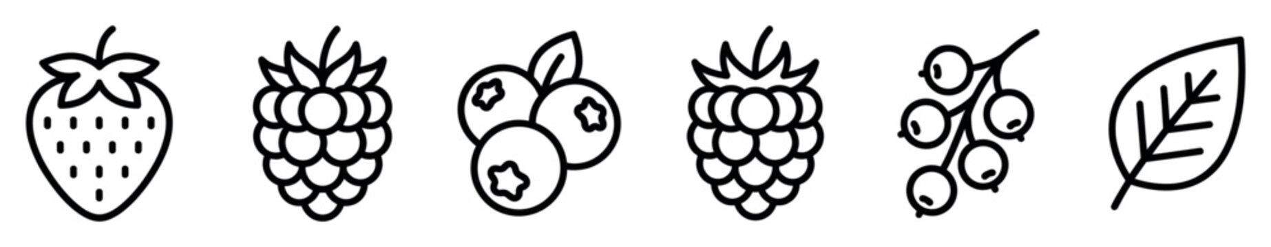 Set of black line art berry icons showing strawberry, raspberry, blueberry, and currant in a simple minimalist vector style for graphic design and healthy eating concepts