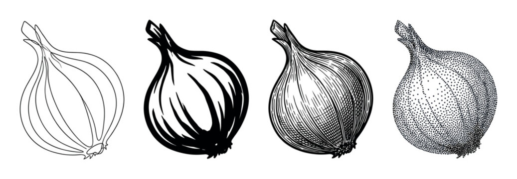 Set of four onion illustrations in different artistic styles including simple line art, bold silhouette, detailed engraving, and textured stippling for a botanical concept