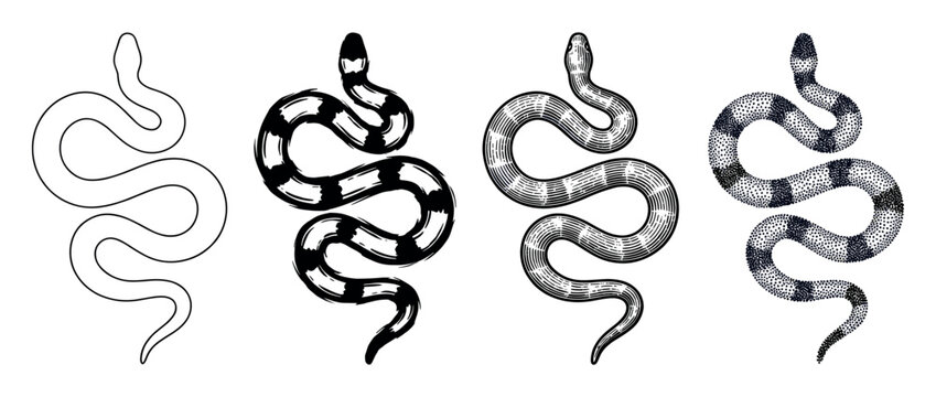 Collection of four black snake illustrations displays different graphic styles including simple outline, rough brushstroke, detailed engraving, and dotwork stippling