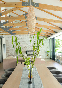 Tall bamboo stalks are standing in clear glass vase on wooden dining table, sunlight pouring