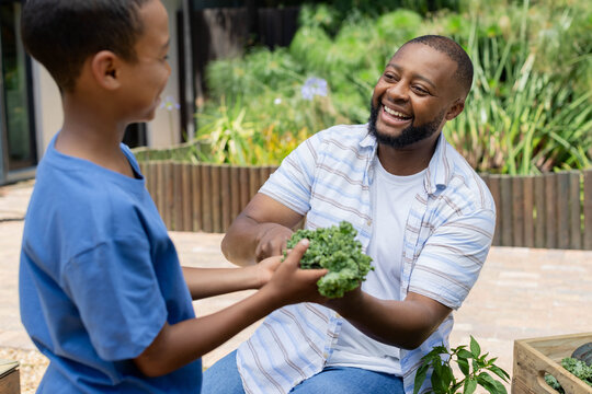African American father and child gardening on patio, father in striped shirt handing kale