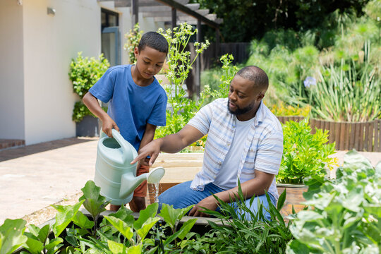 African American father pointing, teenage son watering leafy planter in yard with pale green can