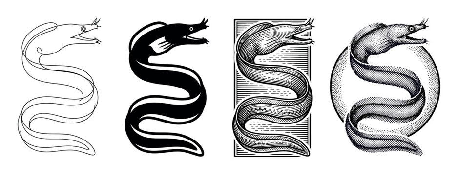 Set of four moray eel illustrations showing different artistic styles including continuous line art, a solid black silhouette, vintage engraving, and dotwork stippling