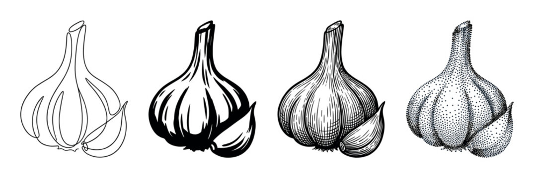 Four garlic bulb illustrations in different artistic styles, including line art, silhouette, engraving, and stippling, showing a collection of graphic design elements for food concepts