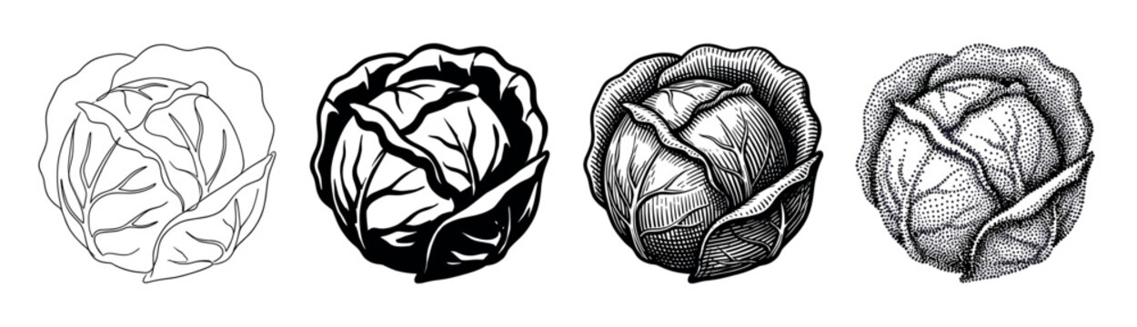 Four distinct black and white illustrated cabbage heads are depicted in various artistic styles, showcasing detailed line art, solid silhouette, classic engraving, and intricate stipple shading