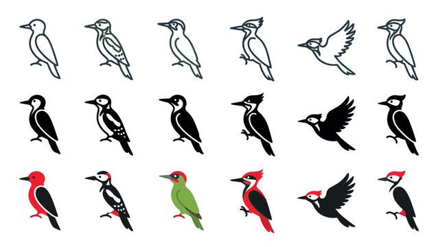 Various stylized woodpecker bird illustrations in different poses, showcasing a collection of outline, solid black, and vibrant colored graphic designs with distinct avian features