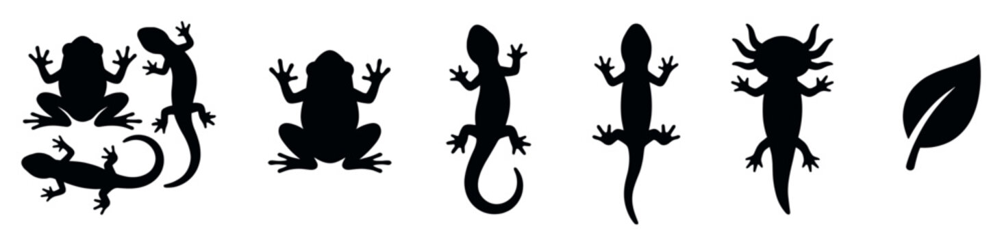 Various black silhouettes of amphibians and reptiles, including frogs, lizards, and a salamander, along with a single leaf, forming a diverse collection of wildlife icons