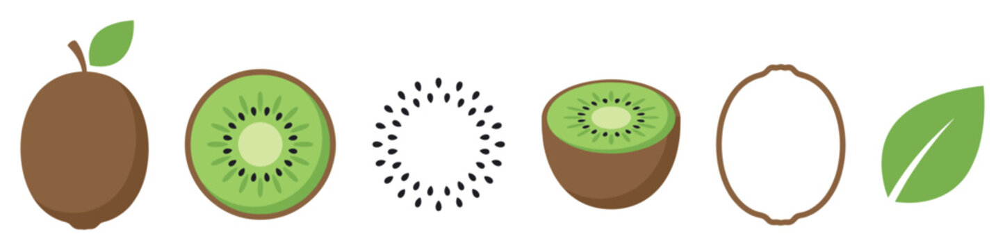 Stylized kiwi fruit elements in various forms, including whole, sliced, seeds, and outline, presented in a bright, clean illustration style